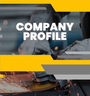 professional business profile, company profile